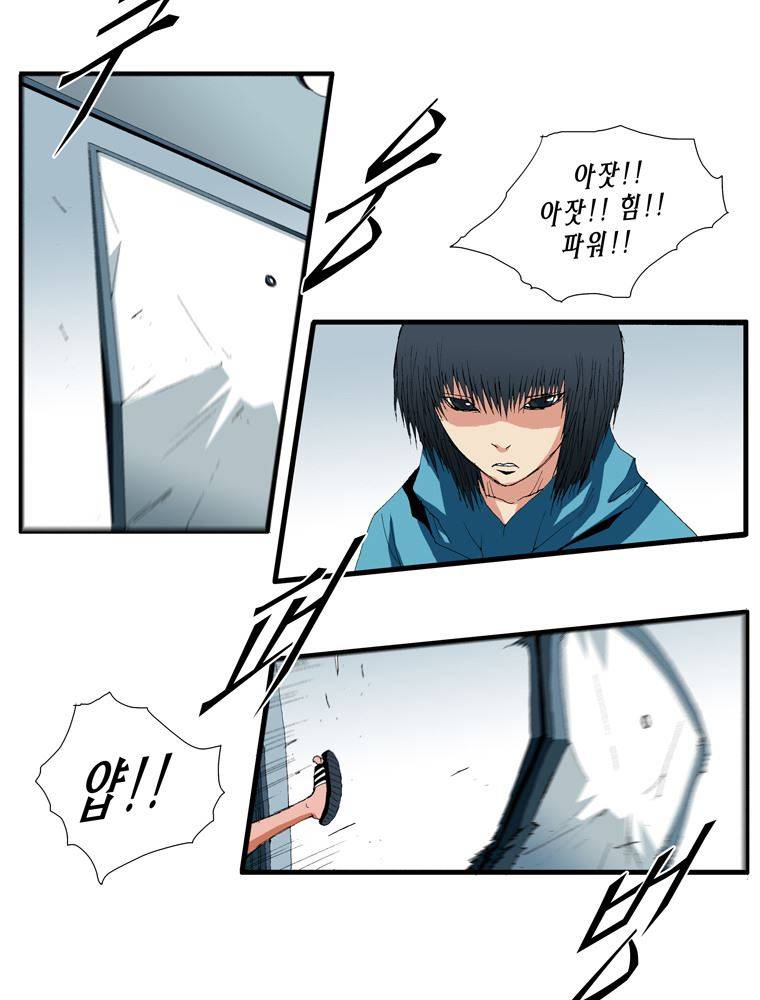 트레이스 장미 10 37