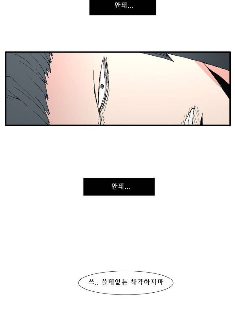 트레이스 장미 21 15