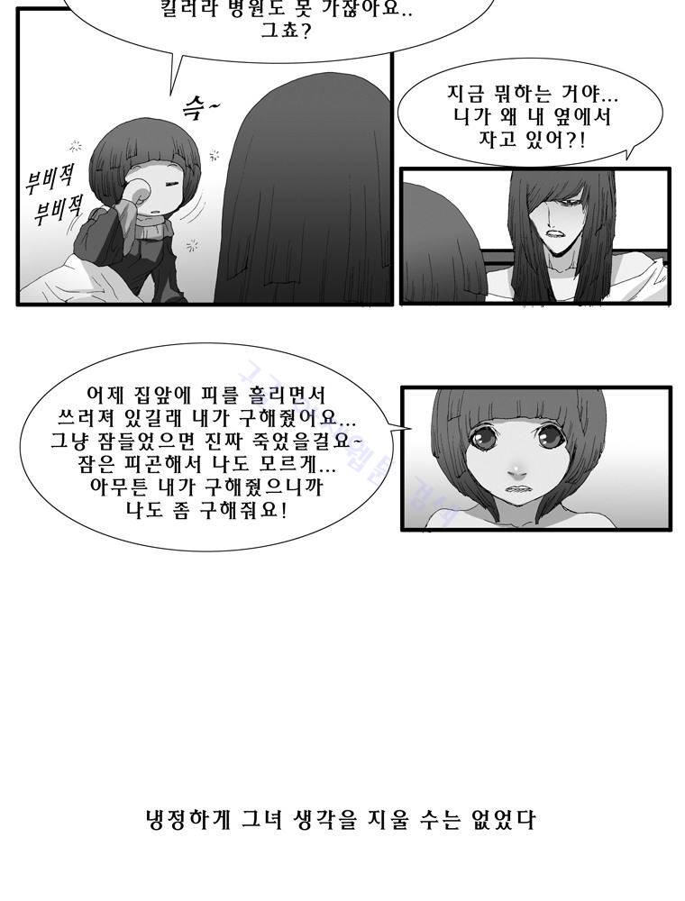 트레이스 장미 21 40