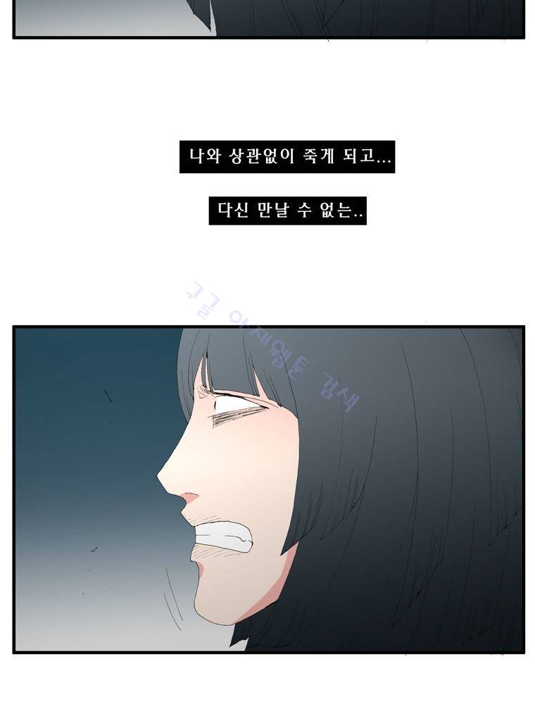 트레이스 장미 21 60