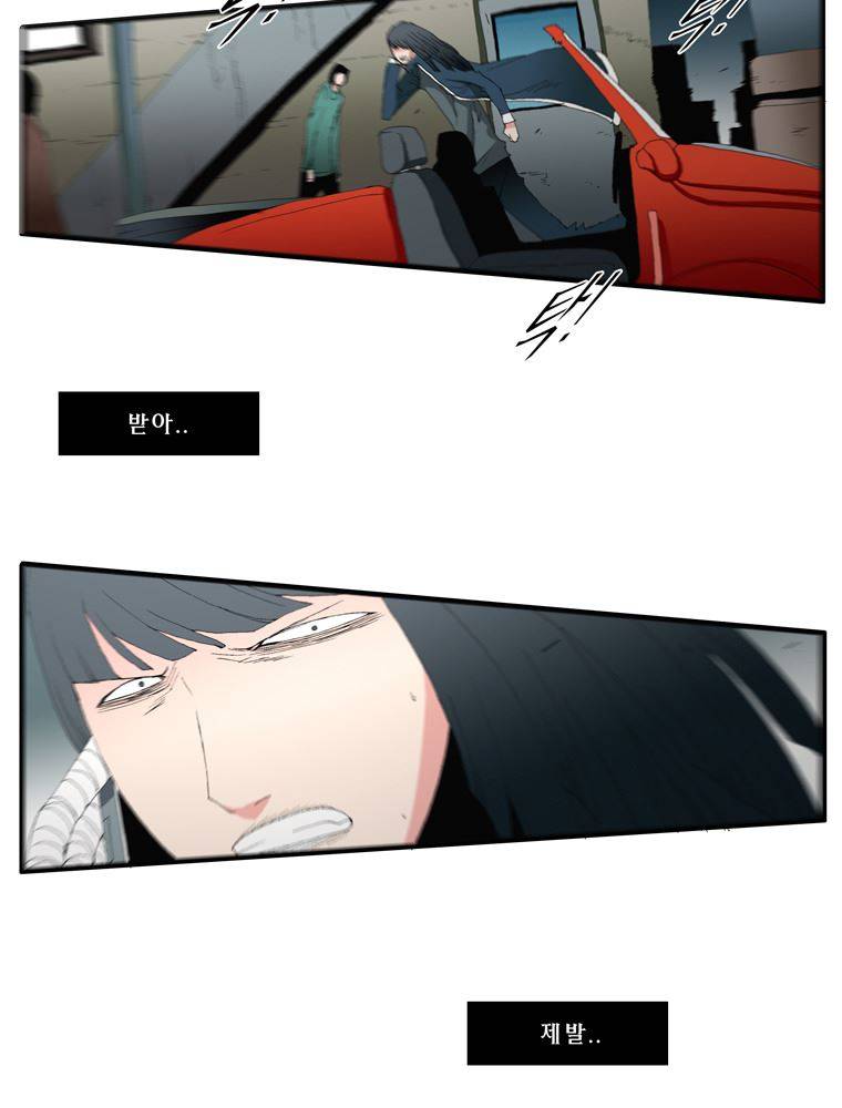 트레이스 장미 21 67