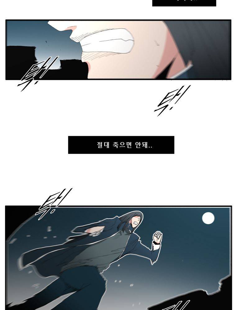 트레이스 장미 21 74