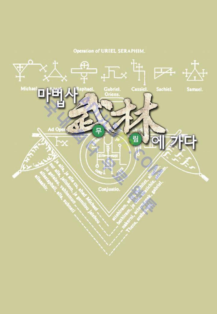 마법사 무림에 가다 16화 1