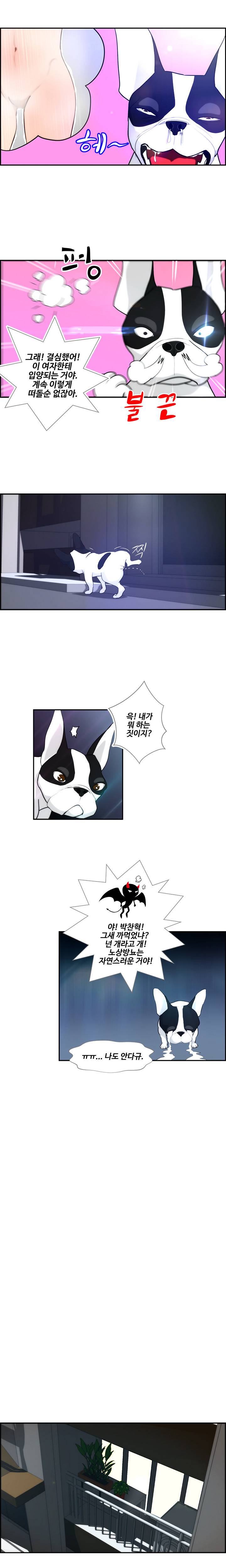 개가 된 남자 4화 3