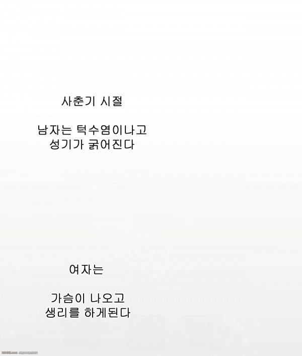 쌍녀 프롤로그 1