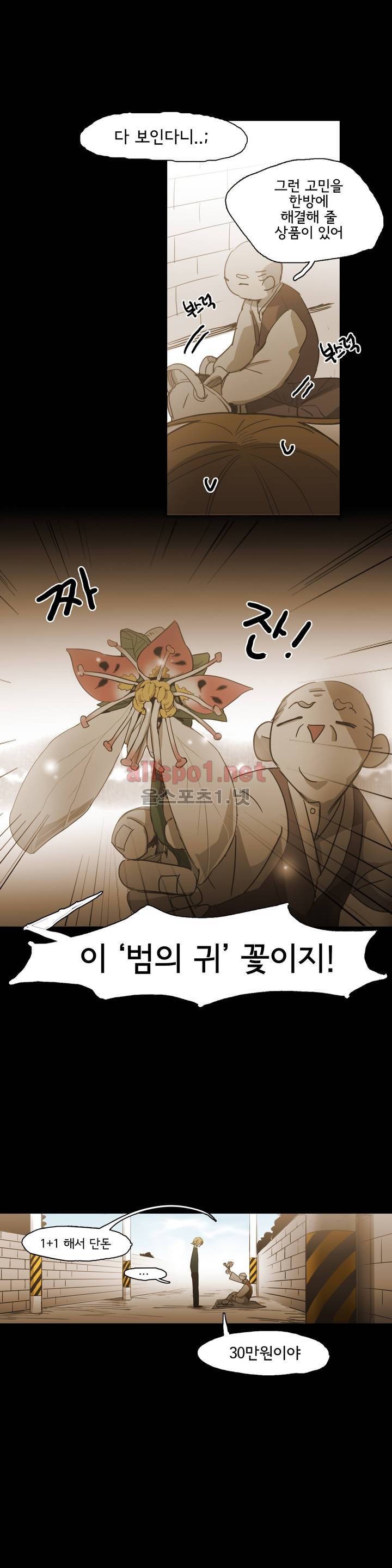 이해불능 외전2 (희노애락): 범의귀 1 11