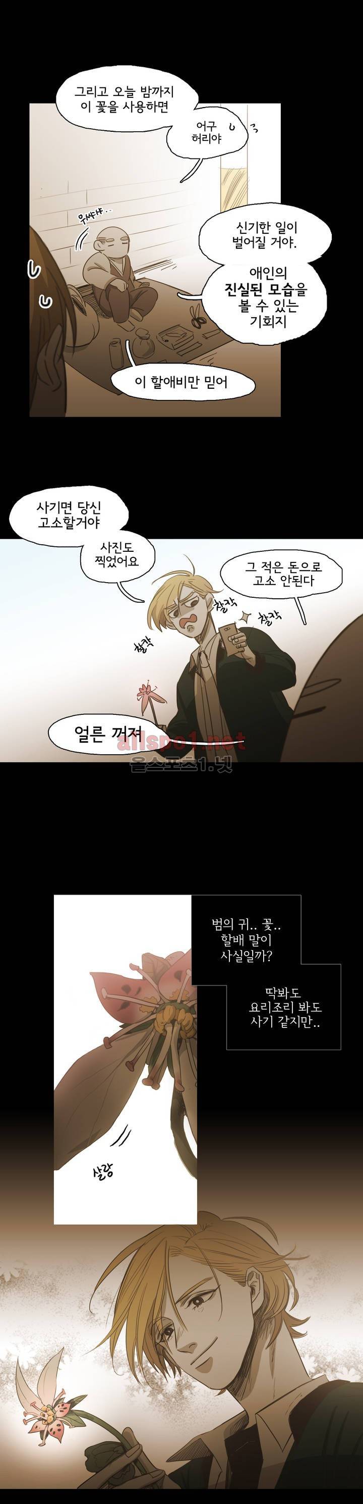 이해불능 외전2 (희노애락): 범의귀 1 16