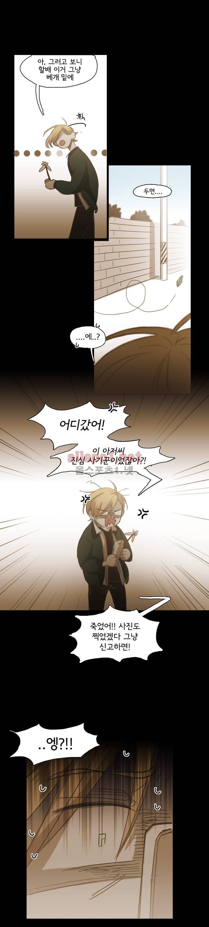 이해불능 외전2 (희노애락): 범의귀 1 18
