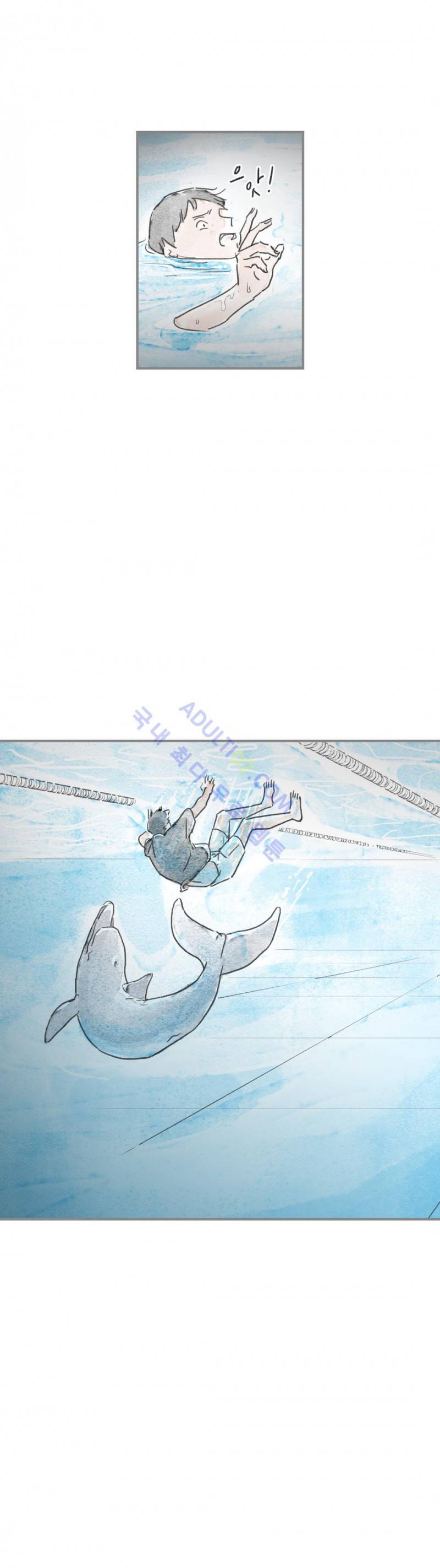 돌핀 요정 9화 3