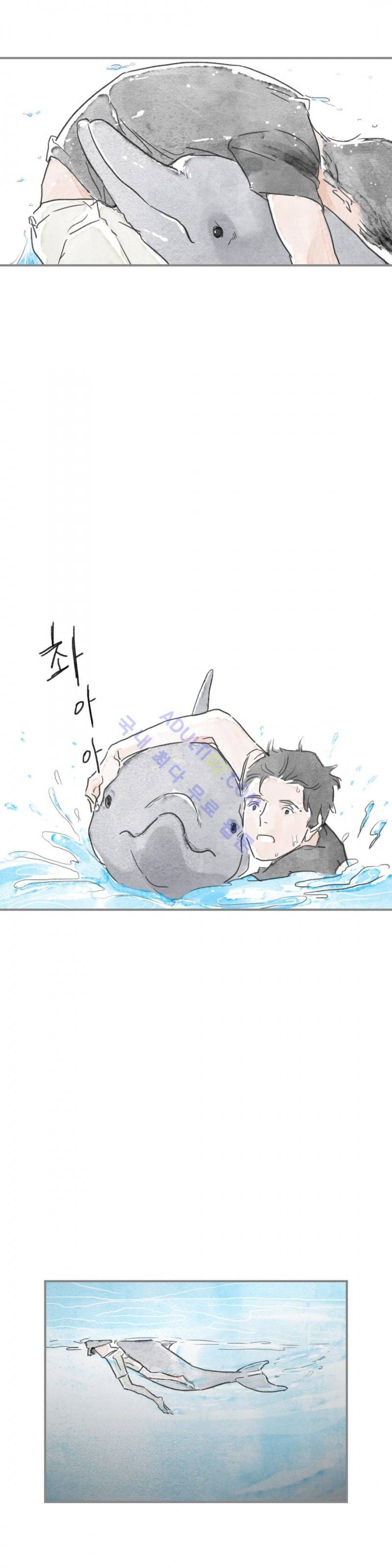 돌핀 요정 9화 4