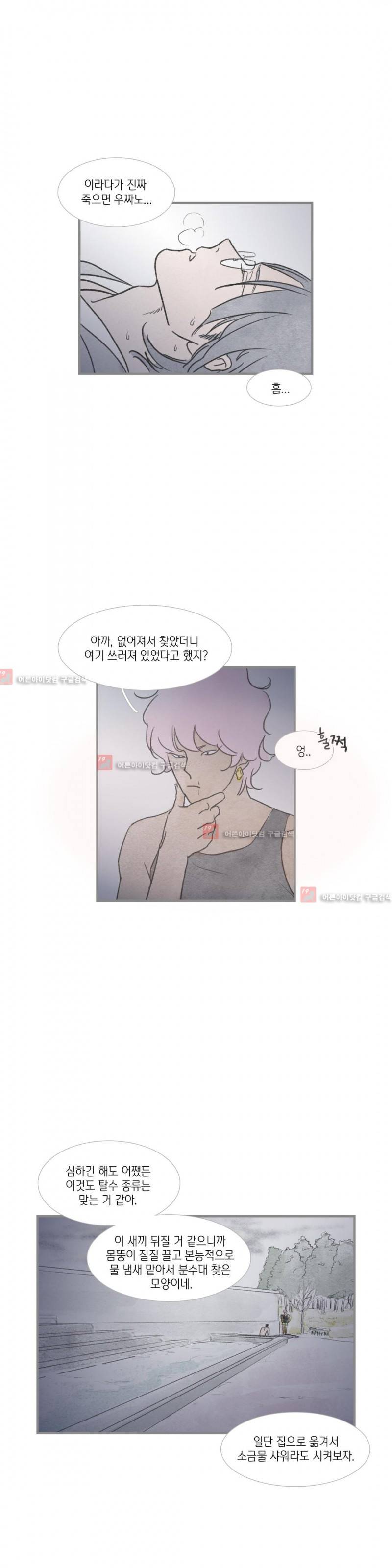 돌핀 요정 20화 1