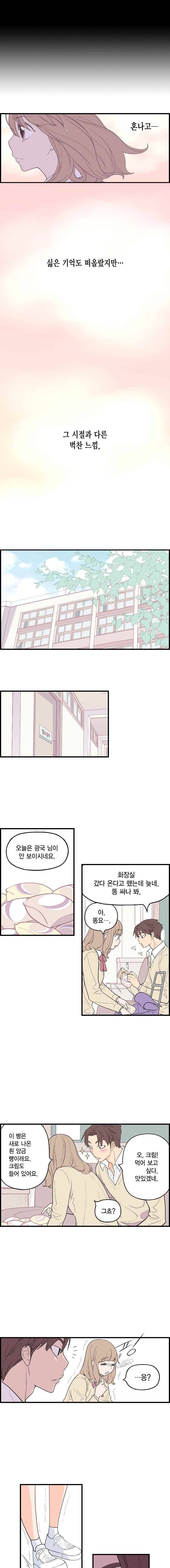 빛나는 손을 13화 6