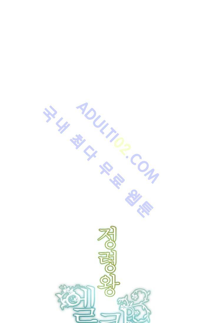 정령왕 엘퀴네스  2화 4