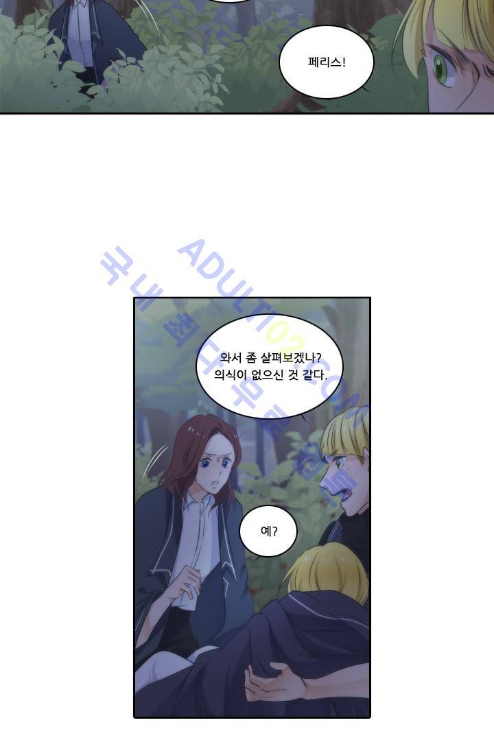 정령왕 엘퀴네스  13화 3