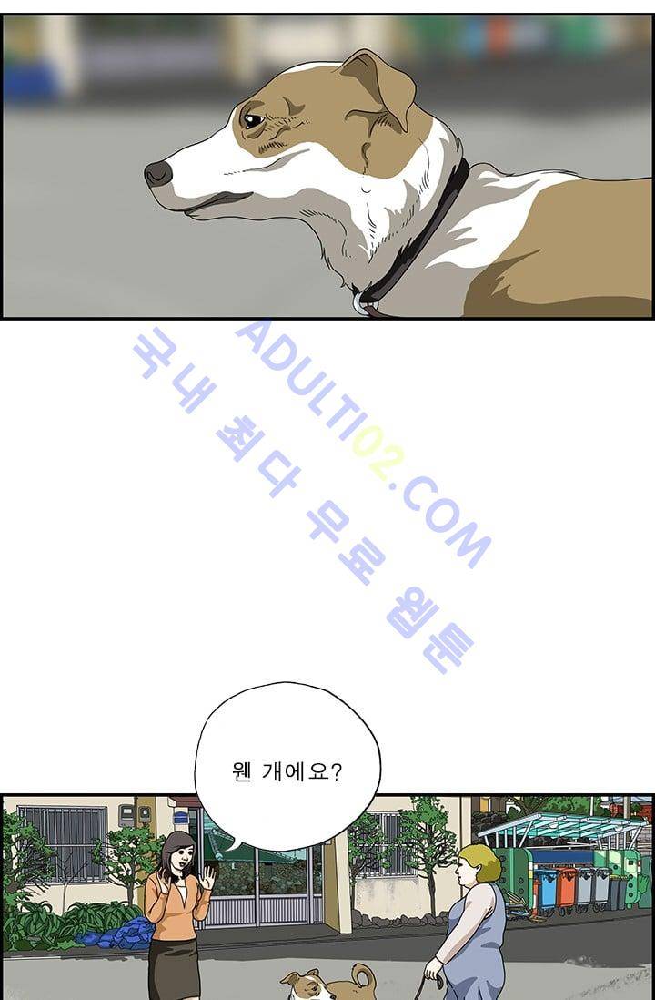 엄마는 외국인 3기  38화 2