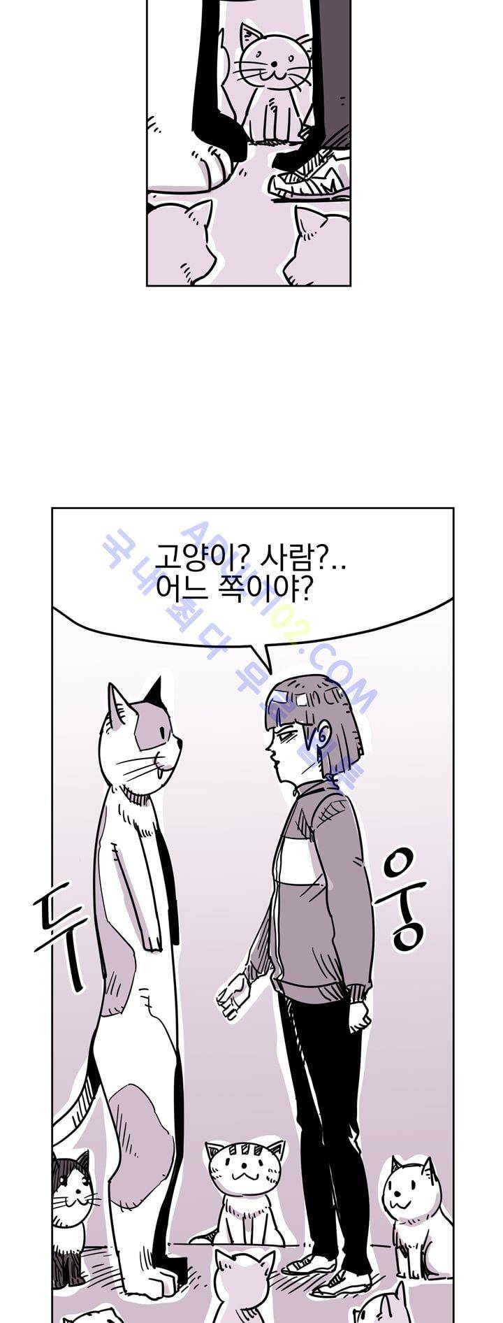 자전거 도둑 18화 2
