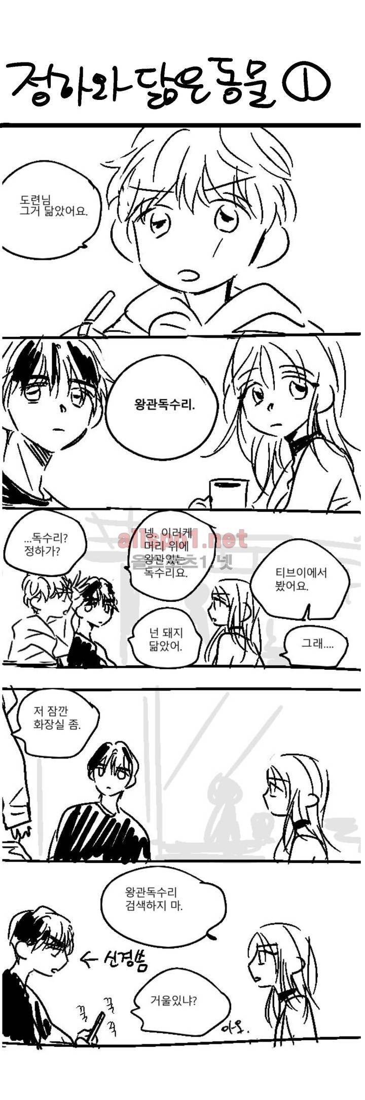 소라의 눈 후기 10