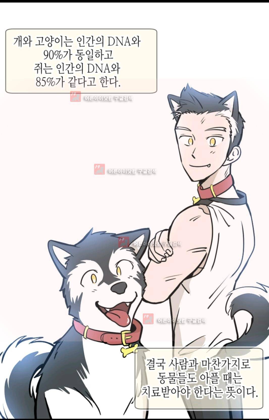 애니멀 아이즈 87화 13