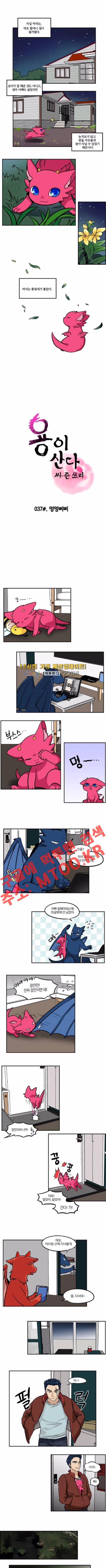 용이 산다 시즌3 37화 1