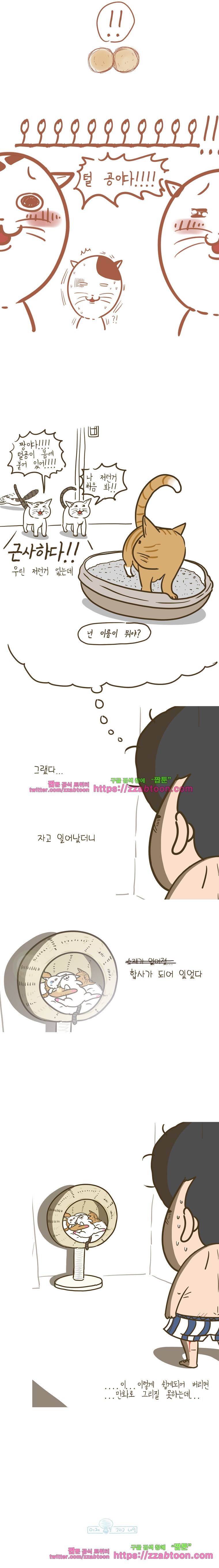 어제 오늘 그리고 내일-191화 자고 일어나니 4