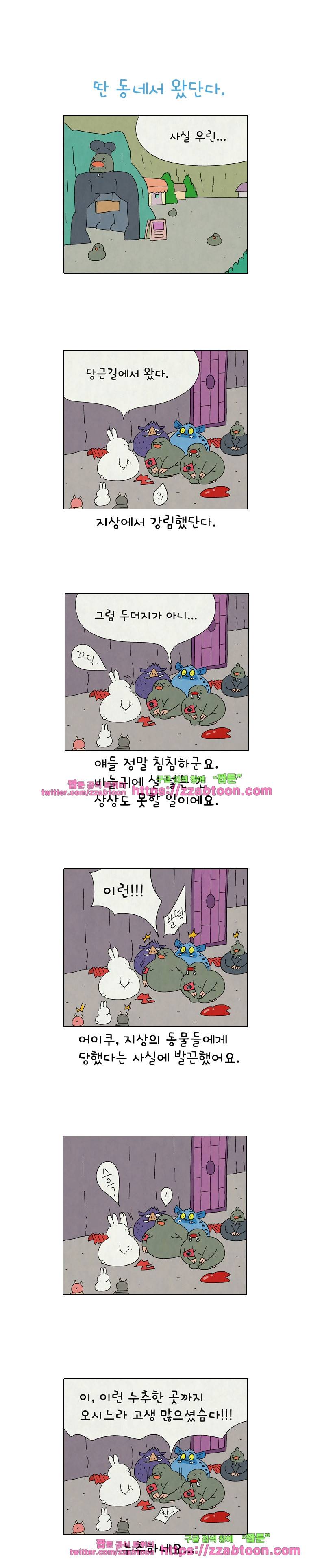 얌얌숲 당근길 토요요 224화. 걔 얼굴 좀 보자꾸나. 1