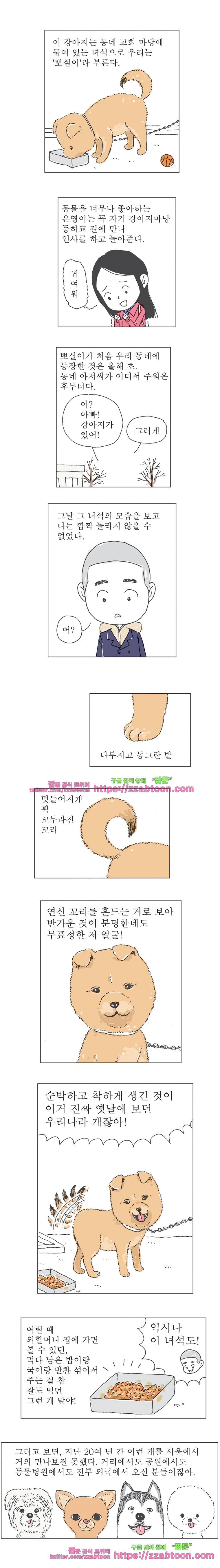 오무라이스 잼잼 182화 뽀실이와 떡갈비 2