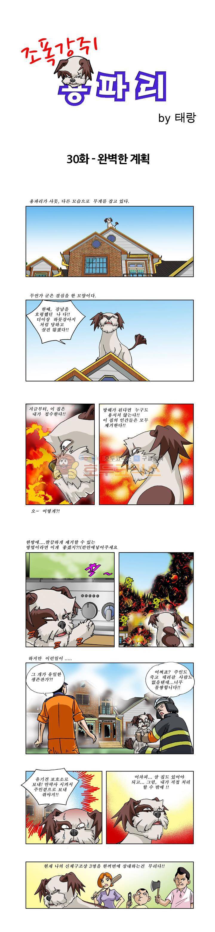 조폭강쥐 용파리 30화 - 완벽한 계획 1