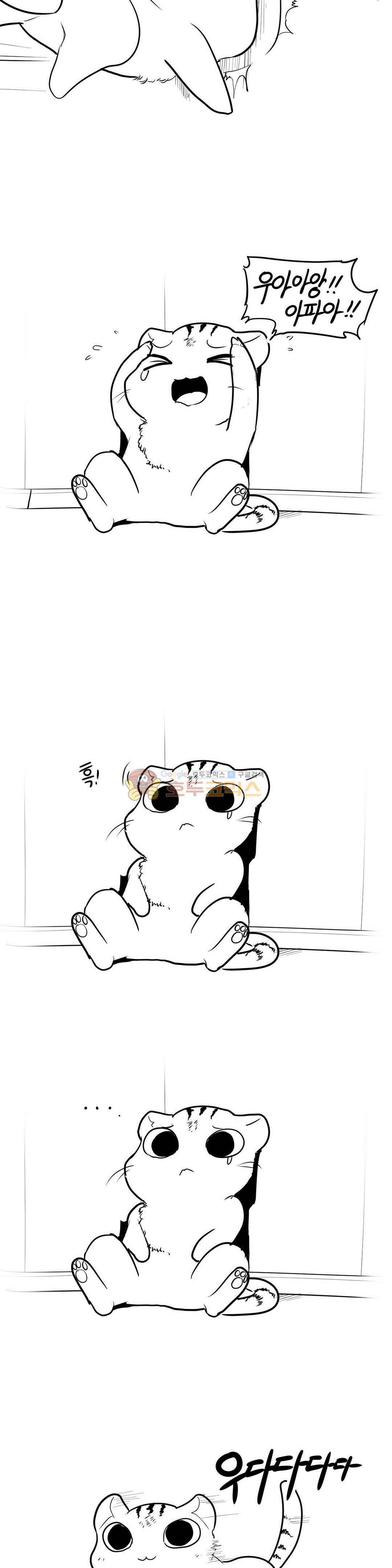 레바툰 162화 - 아기고양이 포로리 2