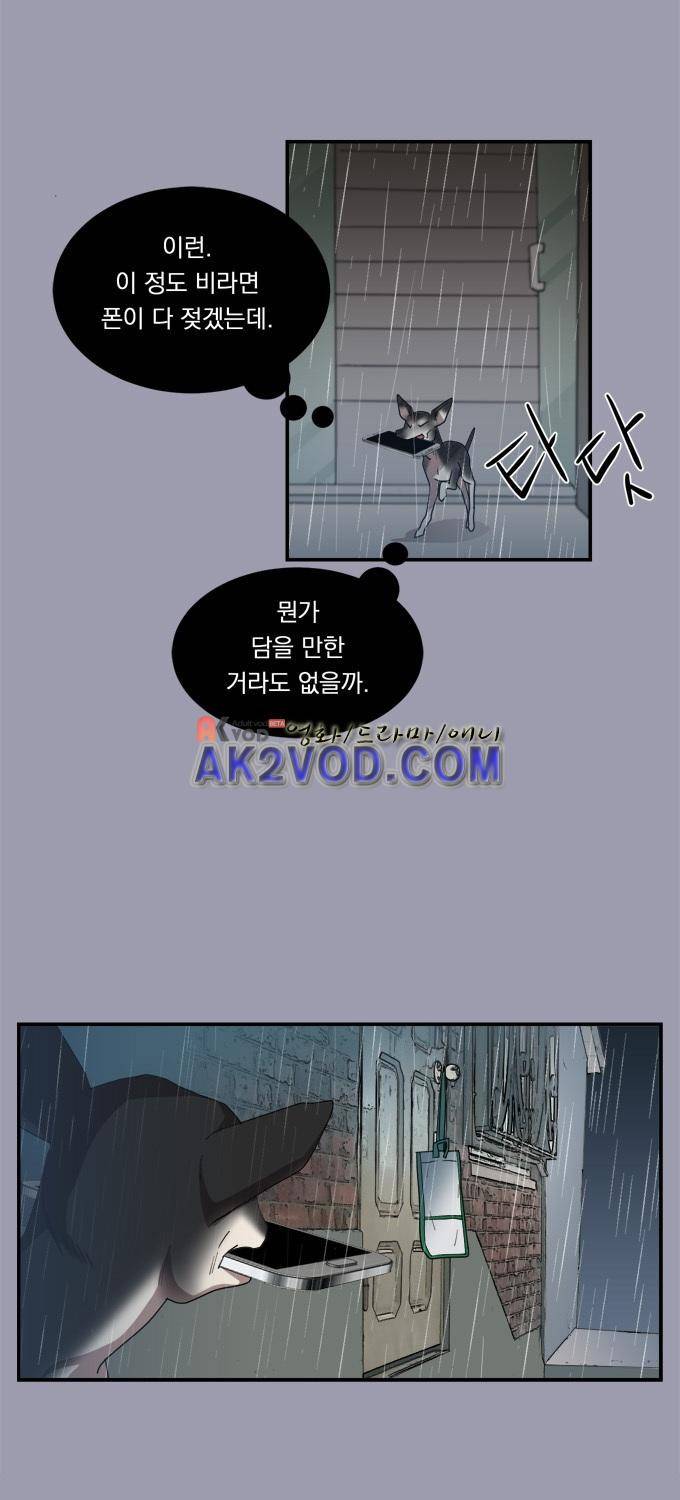 명예소녀의 추락 20화 4