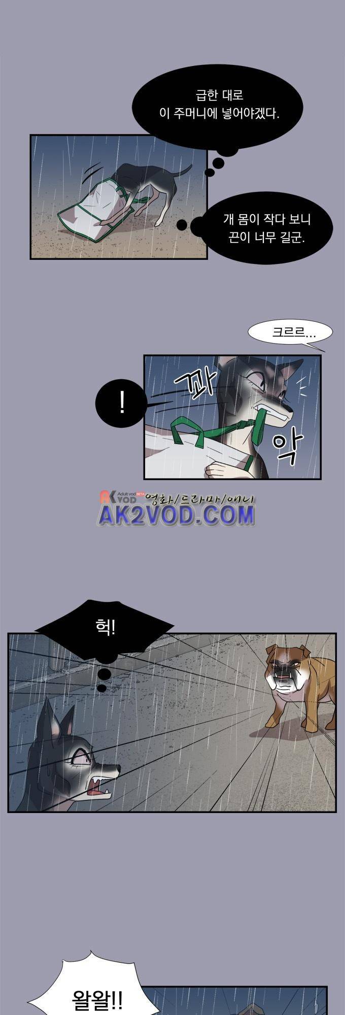 명예소녀의 추락 20화 5