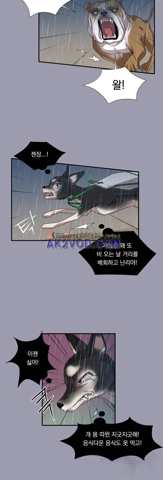 명예소녀의 추락 20화 6