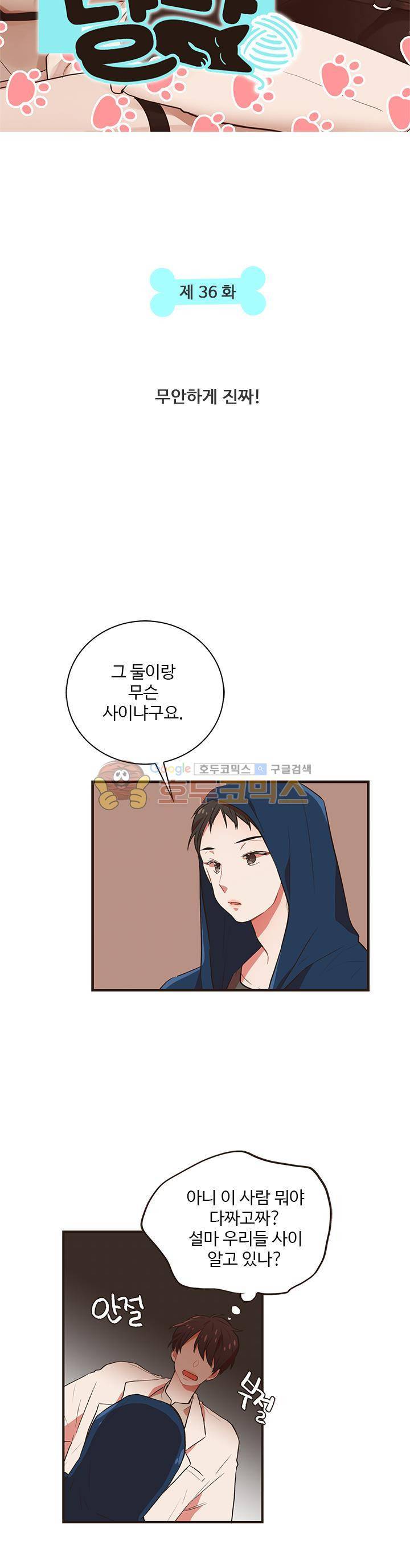 멍멍냥냥 36화 - 무안하게 진짜! 4