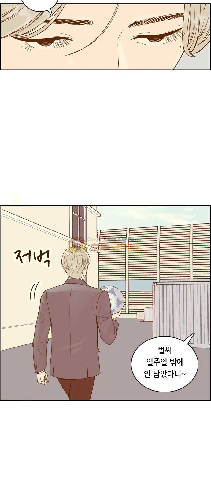 결계녀 159화 - 낙엽이 떨어지고 31