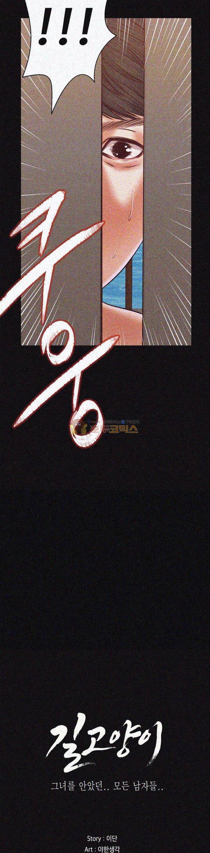 길고양이 37화 3