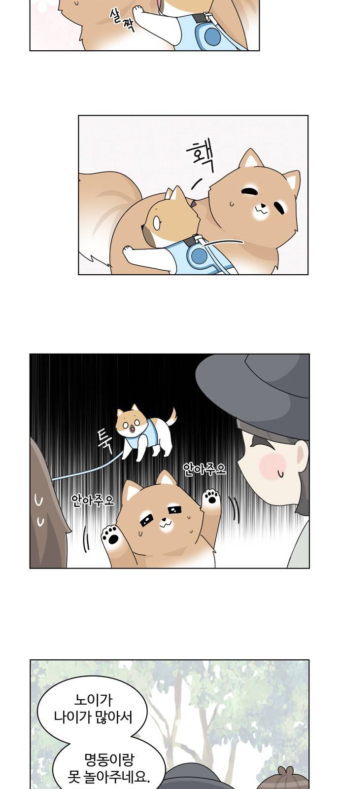 개를 낳았다 14화 2