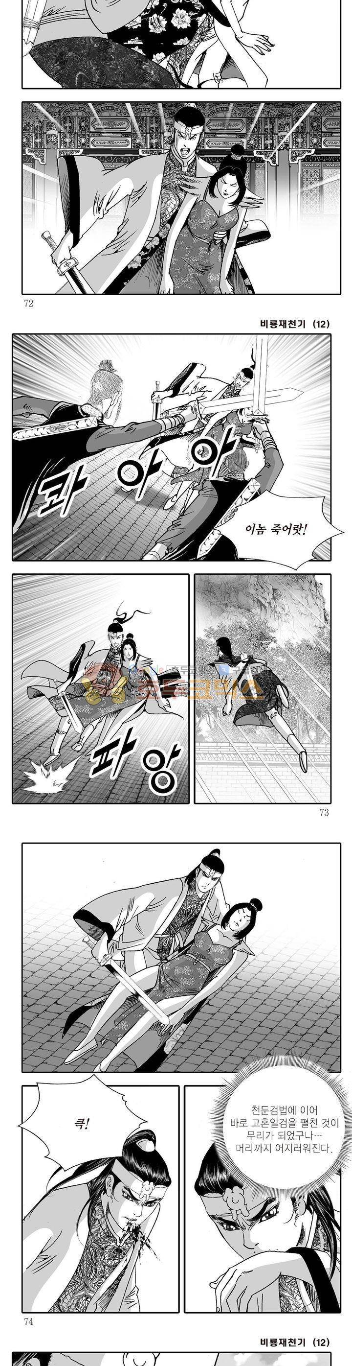 비룡재천기 12권 25