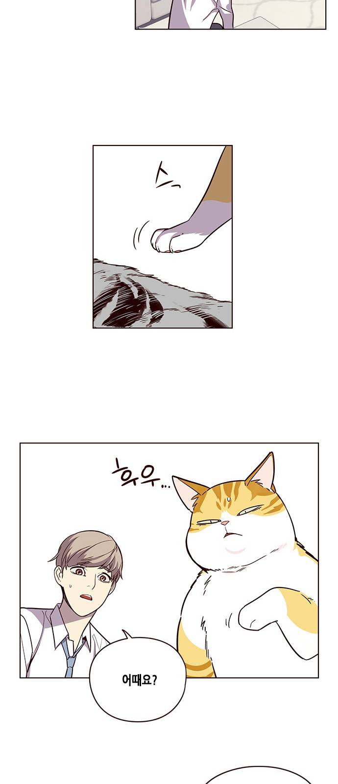일렉시드 6화 3