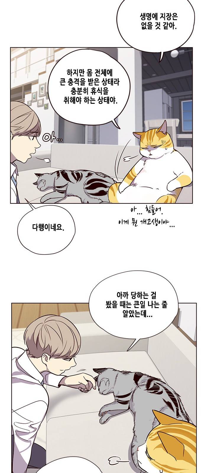일렉시드 6화 4