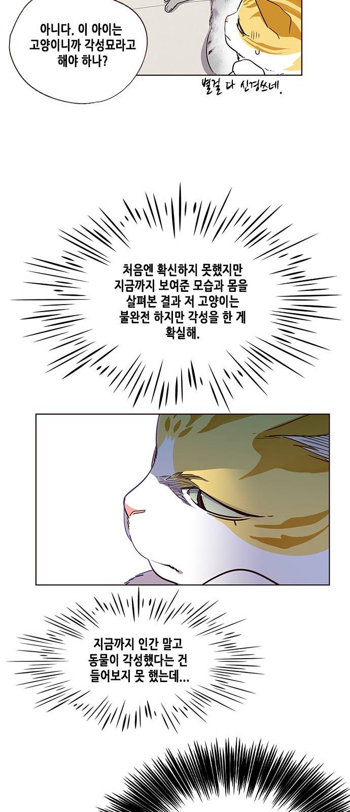 일렉시드 6화 6