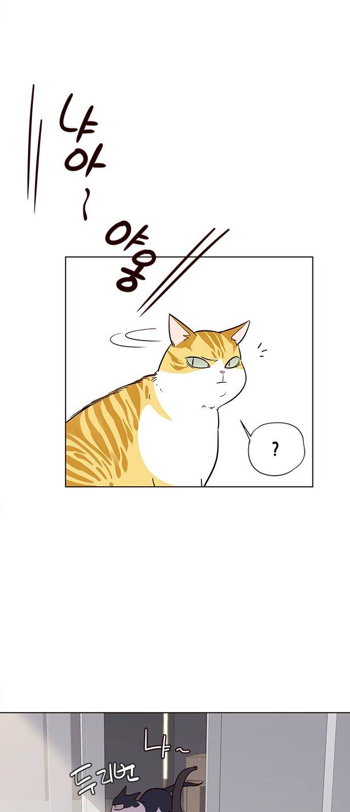 일렉시드 6화 34