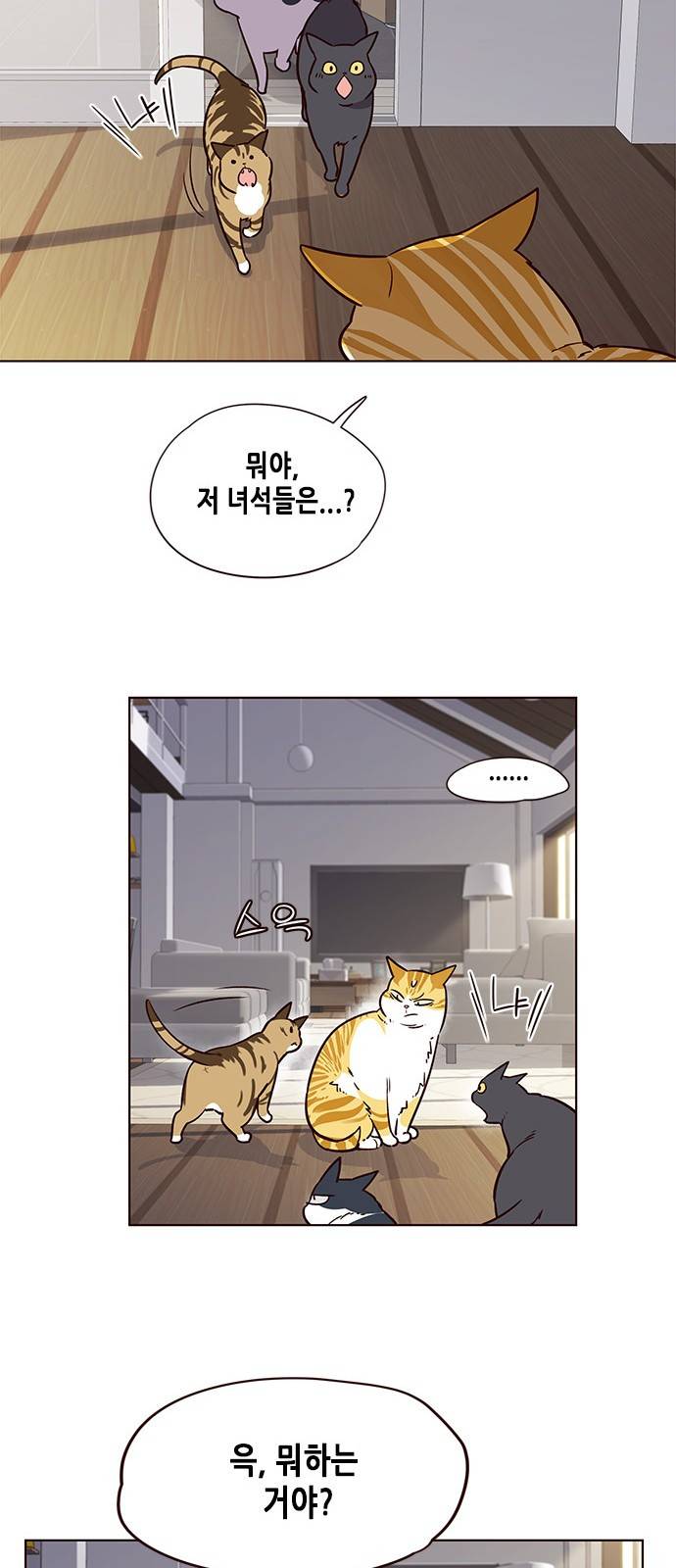 일렉시드 6화 35