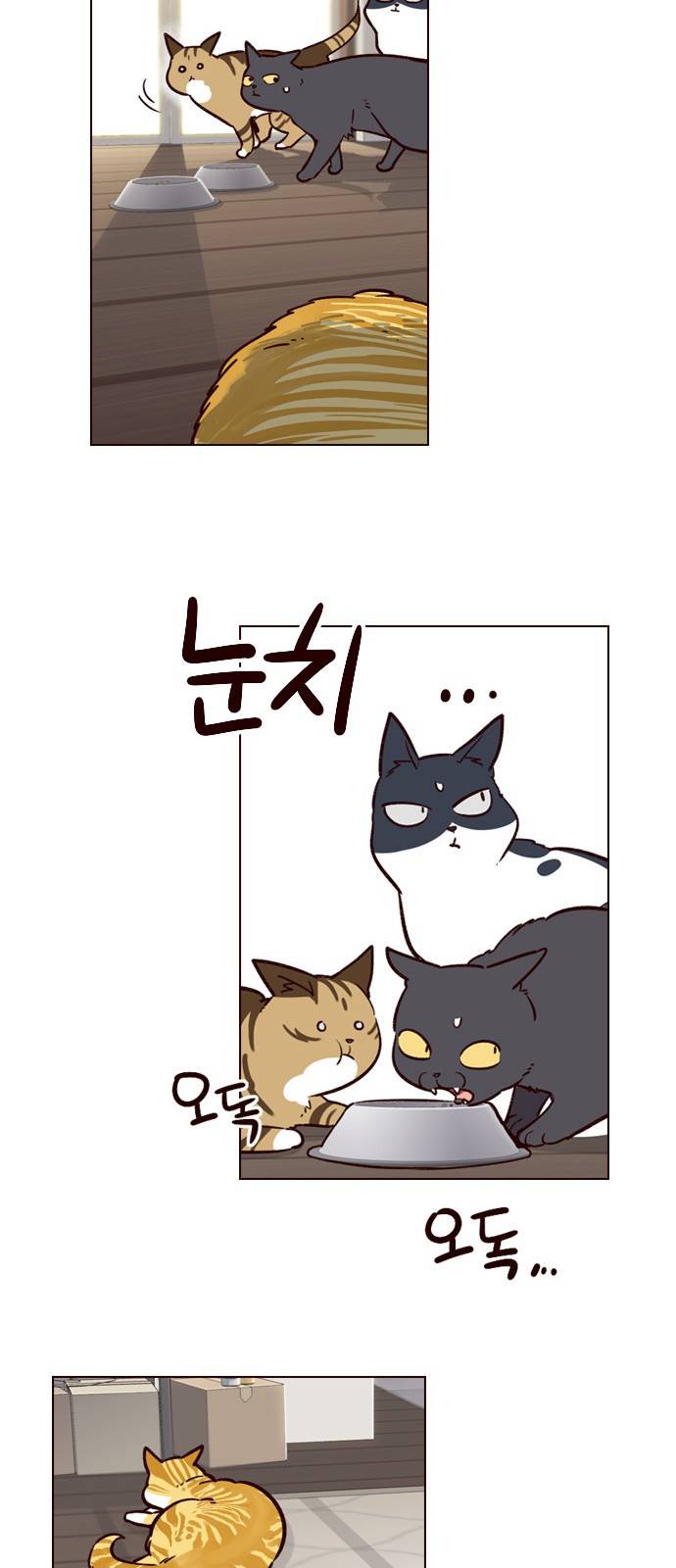 일렉시드 6화 42