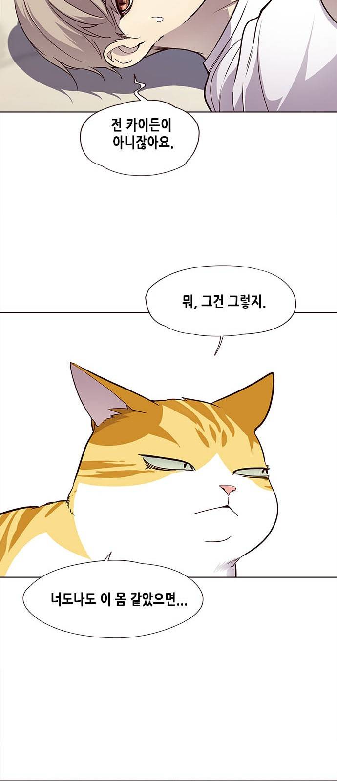 일렉시드 22화 12
