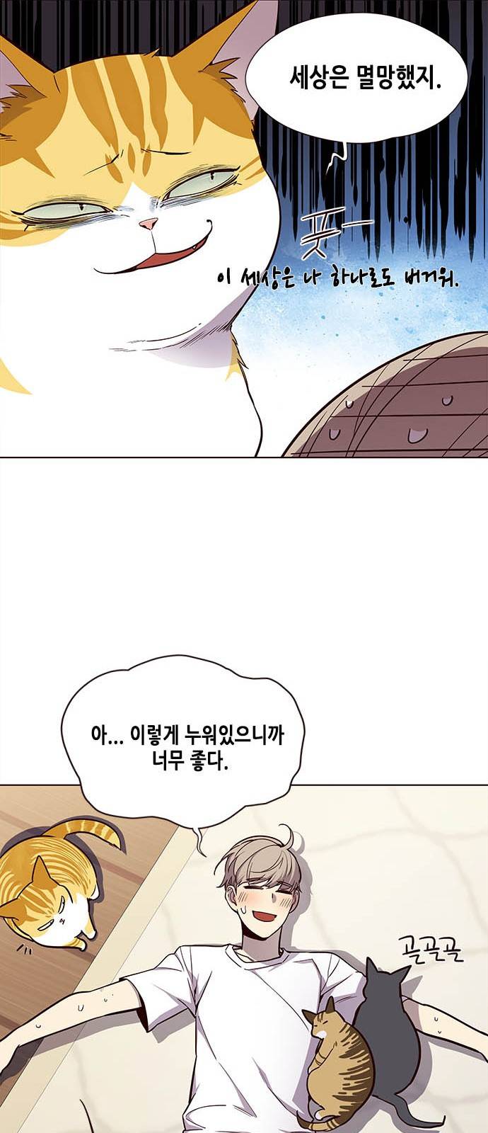 일렉시드 22화 13