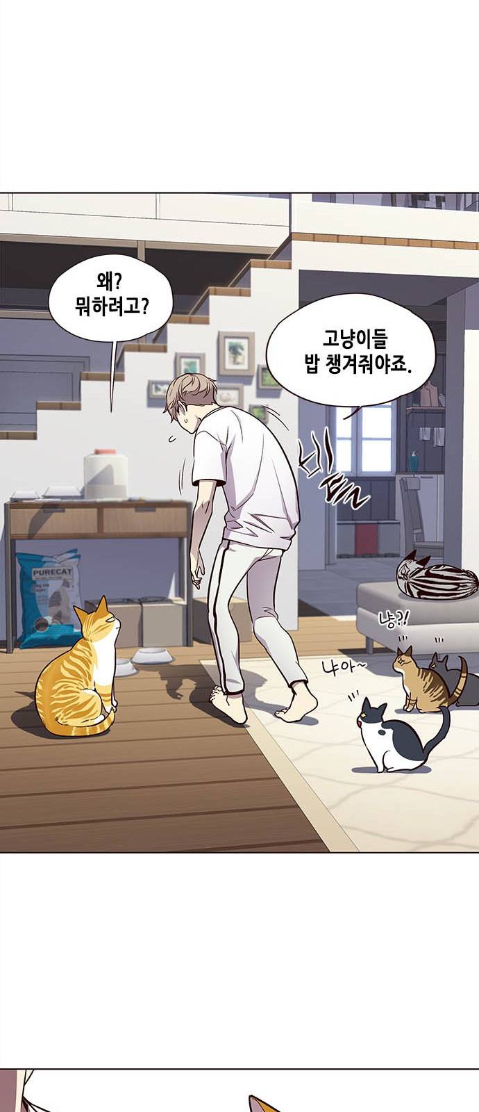 일렉시드 22화 15