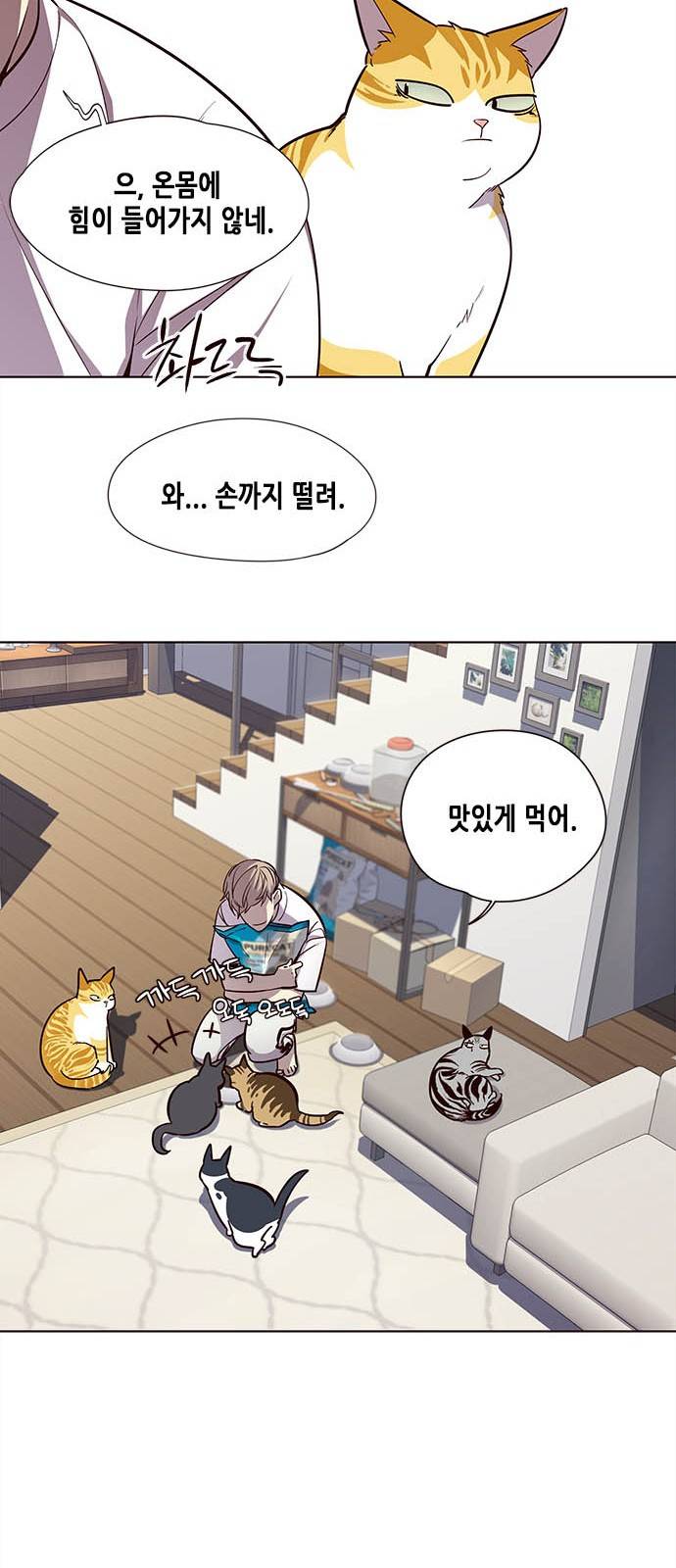 일렉시드 22화 16