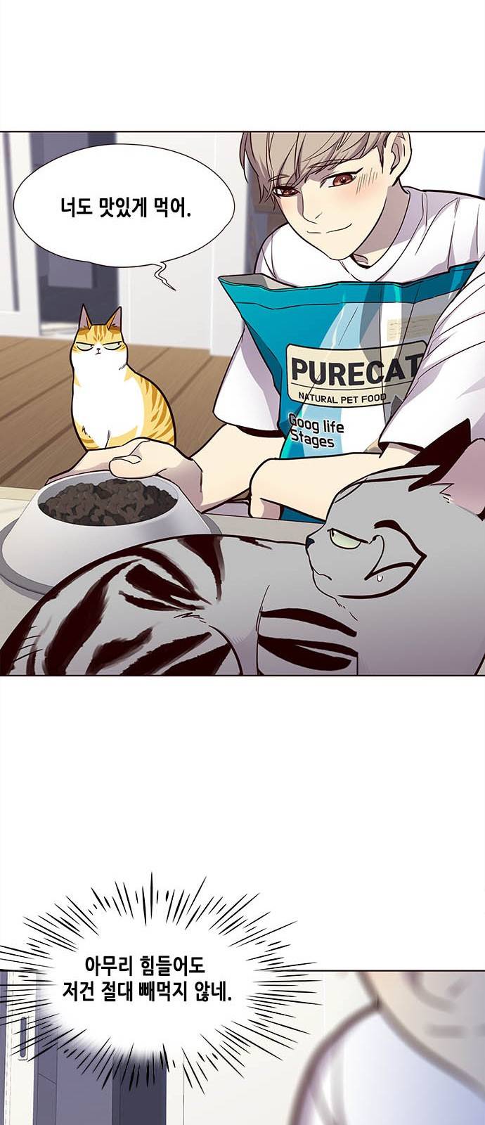 일렉시드 22화 17