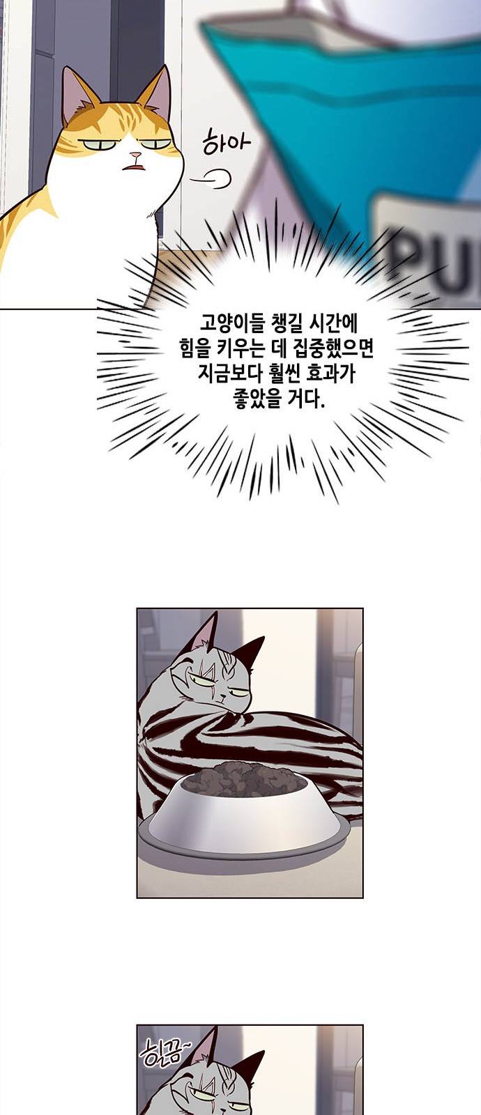 일렉시드 22화 18