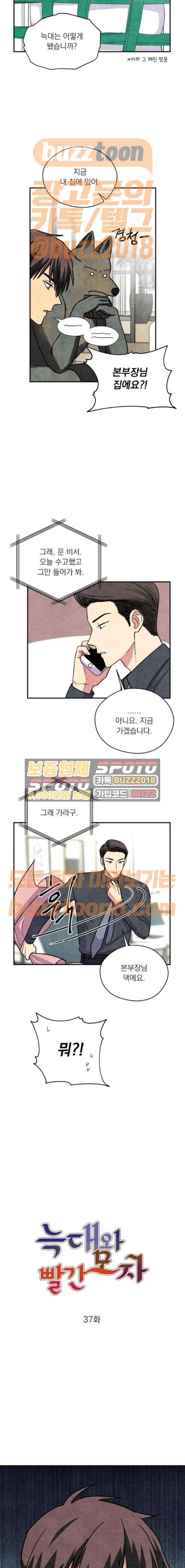 늑대와 빨간모자 37화 2