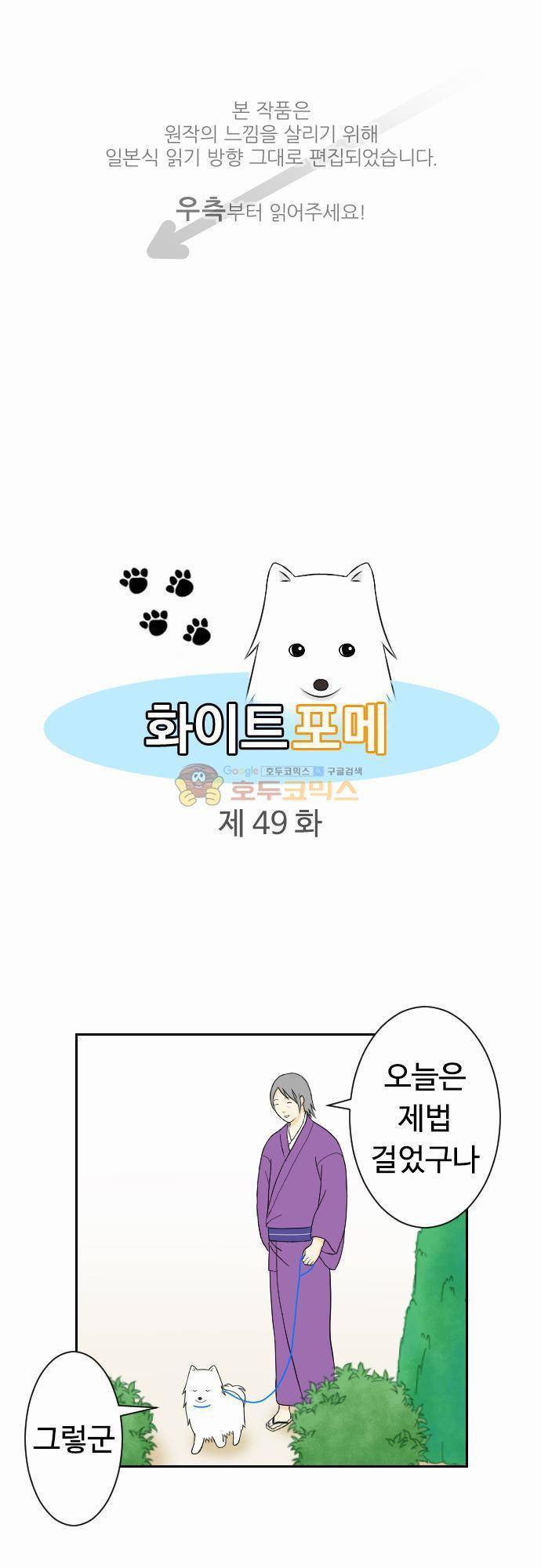 화이트 포메 49화 - 산책하다 돌아와보니 1